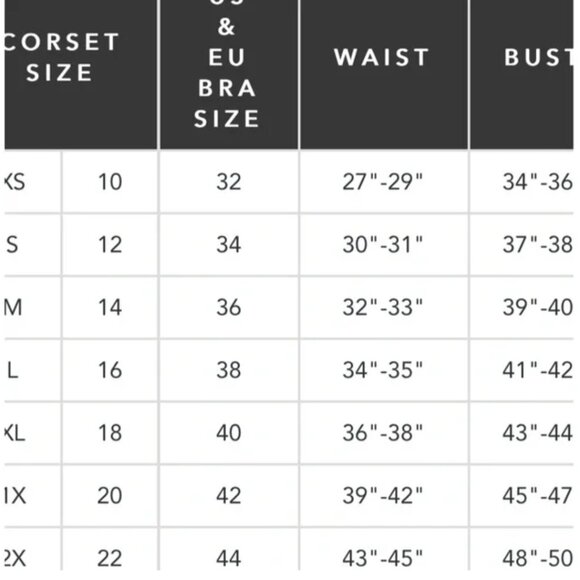 Fredericks of Hollywood Corest - Picture 9 of 9